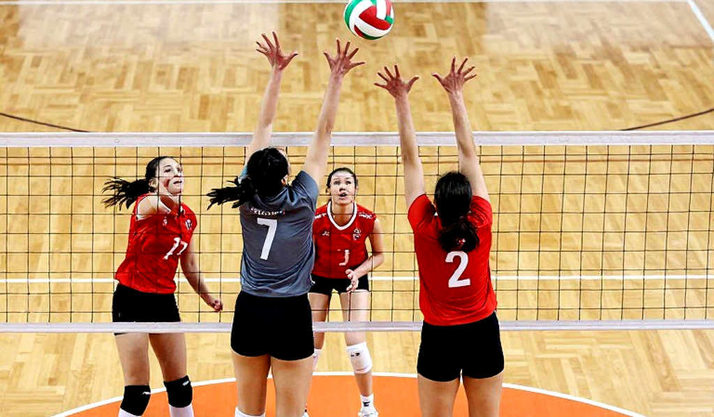 Bảng thống kê ba cột: bóng chuyền Việt Nam thiếu tầng dữ liệu trước ngưỡng cửa chuyên nghiệp