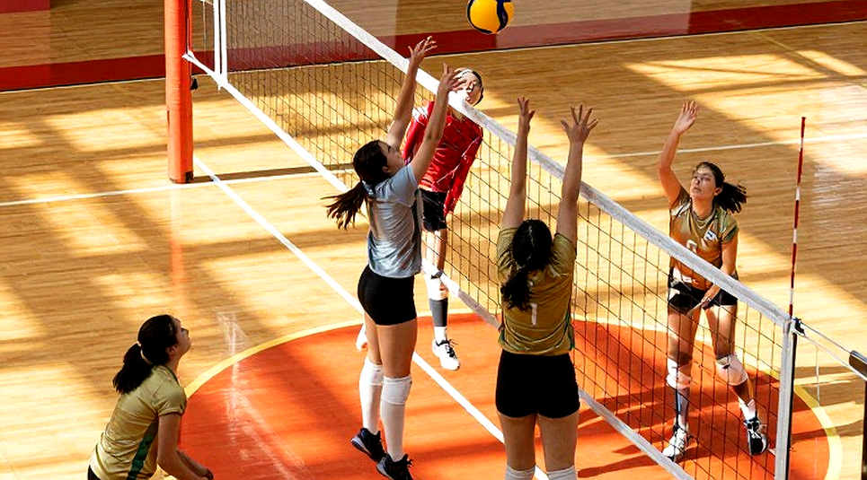 Hồ sơ lương không bao giờ nộp lên liên đoàn: Mùa giải lớn của bóng chuyền nữ và mười bốn dòng tiền qua biên giới